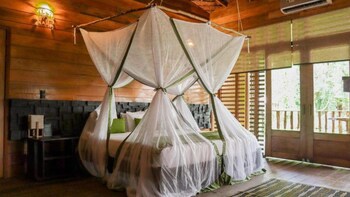 Hotel On Vacation Amazon