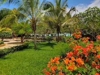 The Zanzibari