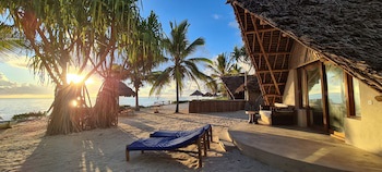 The Zanzibari
