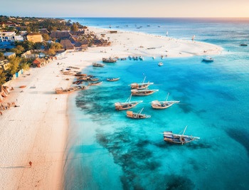 The Zanzibari