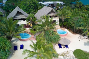 The Zanzibari