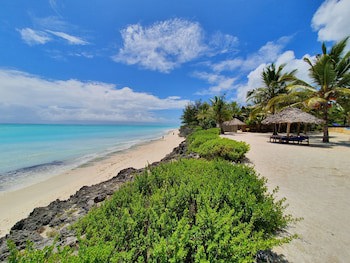 The Zanzibari