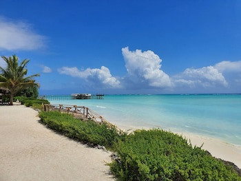 The Zanzibari