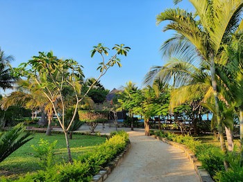 The Zanzibari