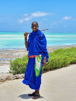 The Zanzibari