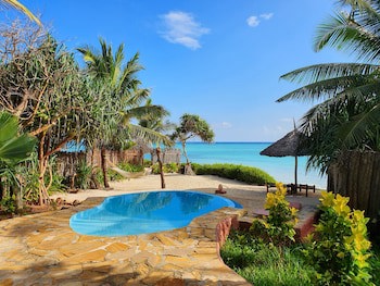 The Zanzibari