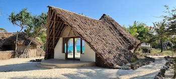 The Zanzibari