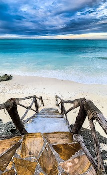 The Zanzibari