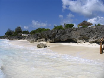 The Zanzibari