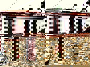 Amazon Petite Palace