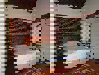 Amazon Petite Palace