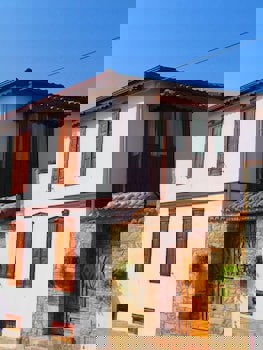 Amazon Petite Palace