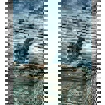 Amazon Petite Palace