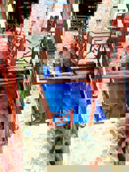 Amazon Petite Palace