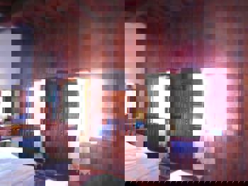 Amazon Petite Palace