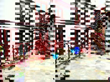 Amazon Petite Palace