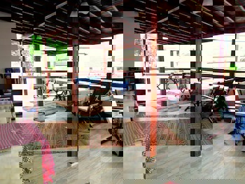 Amazon Petite Palace