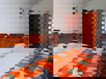 Amazon Petite Palace