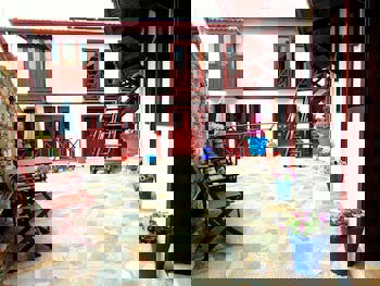 Amazon Petite Palace