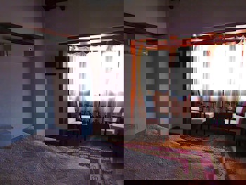 Amazon Petite Palace