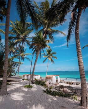 Diamante K - Inside Tulum National Park