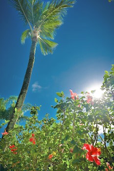 Ayla Praia Hotel