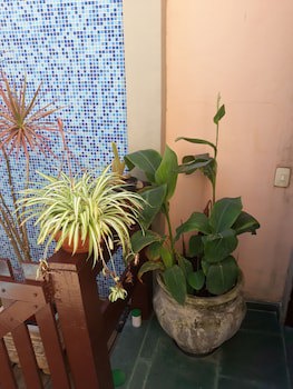 Pousada Lymar