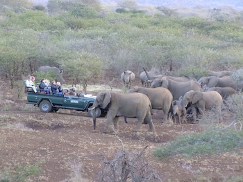 Leopard Mountain Safari Lodge