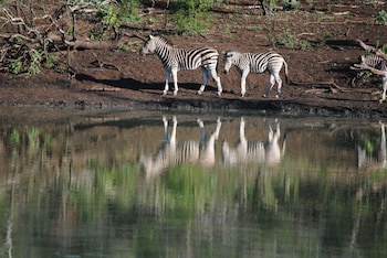 Leopard Mountain Safari Lodge