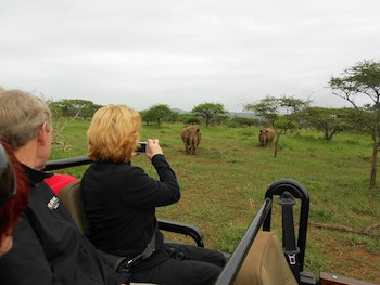 Leopard Mountain Safari Lodge