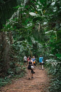 Bocawina Rainforest Resort & Adventures