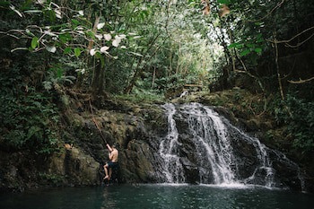Bocawina Rainforest Resort & Adventures