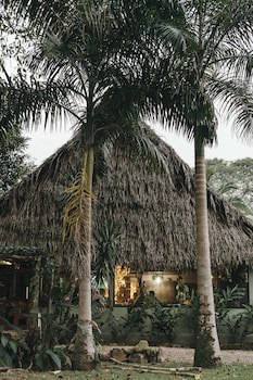 Bocawina Rainforest Resort & Adventures