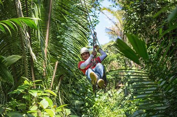 Bocawina Rainforest Resort & Adventures