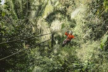 Bocawina Rainforest Resort & Adventures