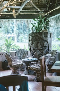 Bocawina Rainforest Resort & Adventures