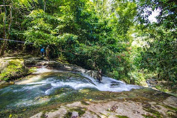 Bocawina Rainforest Resort & Adventures