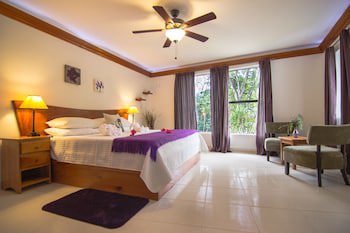 Bocawina Rainforest Resort & Adventures