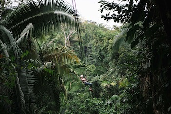 Bocawina Rainforest Resort & Adventures
