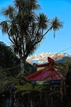 Chateau Backpacker & Motels