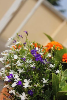 Brentwood Guest House Hotel
