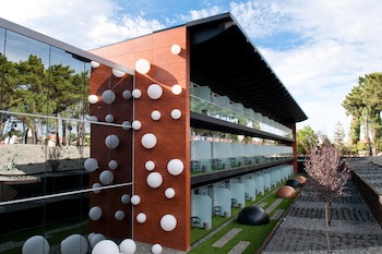 Evidencia Belverde Hotel
