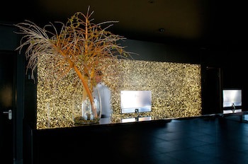 Evidencia Belverde Hotel