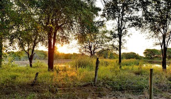 Black Rhino Game Lodge