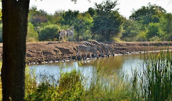 Black Rhino Game Lodge