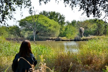 Black Rhino Game Lodge