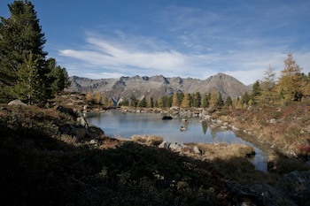 Hotel Alpenkonigin