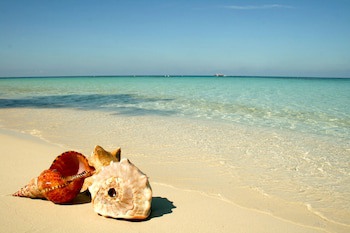 Infinity Bay Spa & Beach Resort
