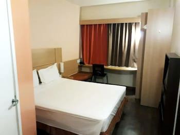Ibis Barretos