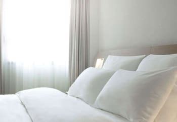 Ibis Barretos